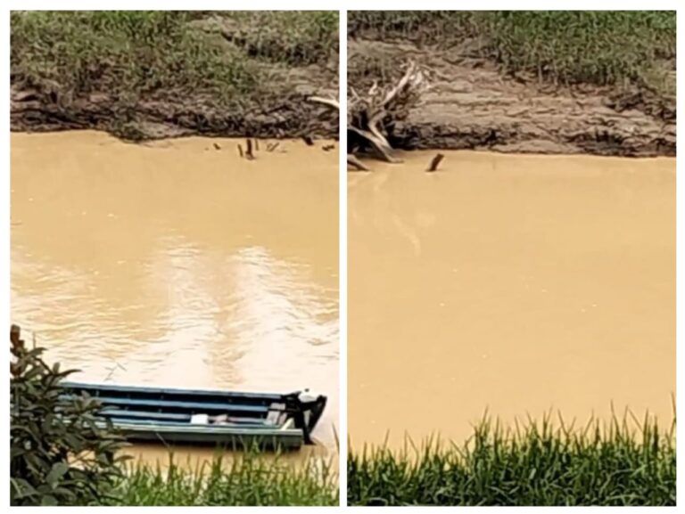 IMG-20251101-WA0030(1)