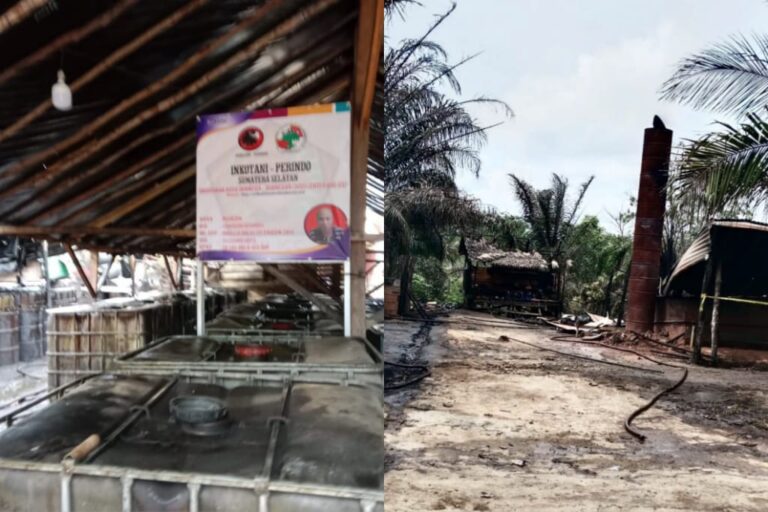 IMG-20251121-WA0023(1)