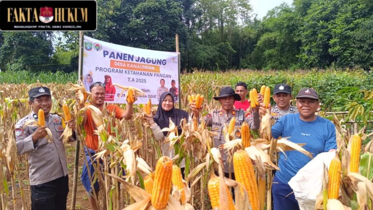 IMG-20251121-WA0147(1)