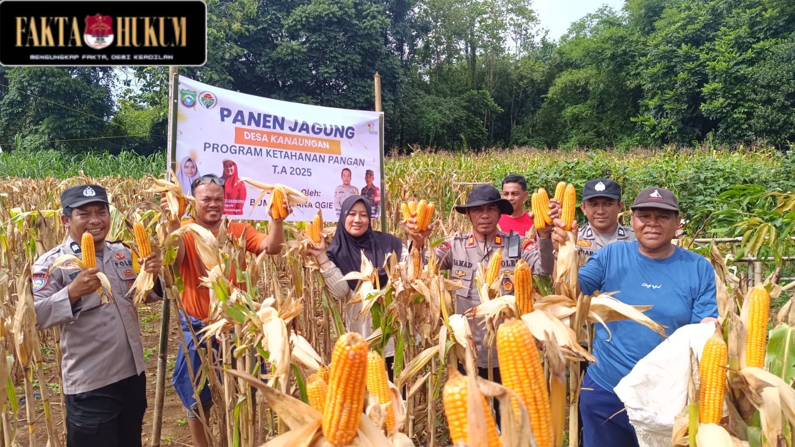 IMG-20251121-WA0147(1)