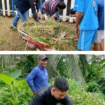 20260215_163151-COLLAGE