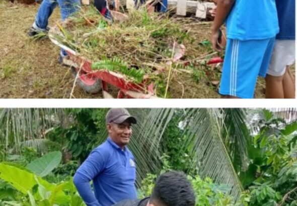 20260215_163151-COLLAGE