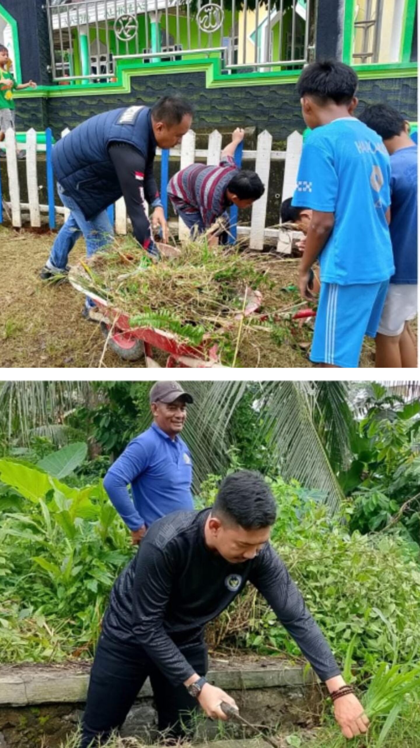 20260215_163151-COLLAGE