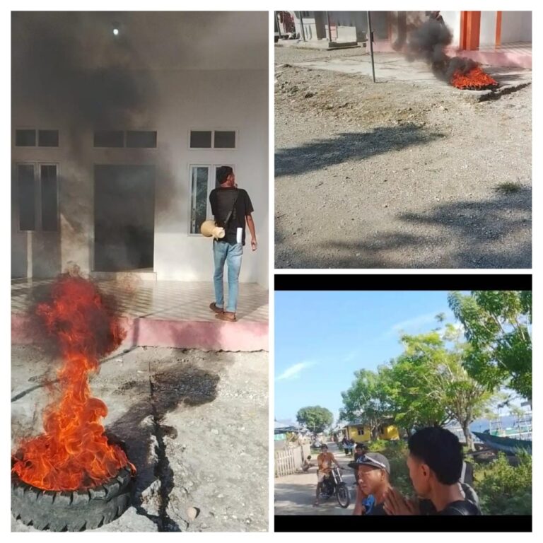 IMG-20260214-WA0095(5)