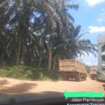 IMG-20260416-WA0227(1)