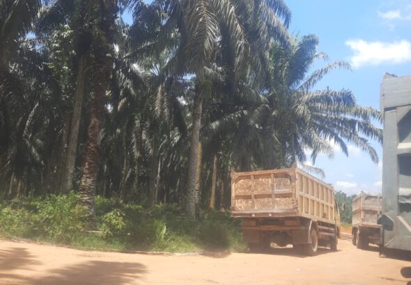 IMG-20260416-WA0227(1)