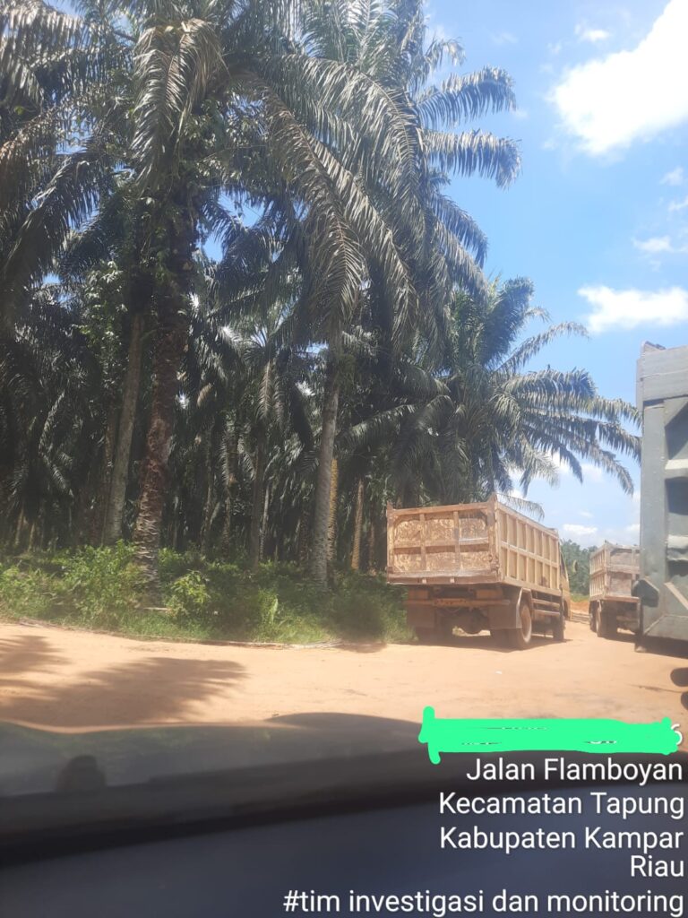 IMG-20260416-WA0227(1)