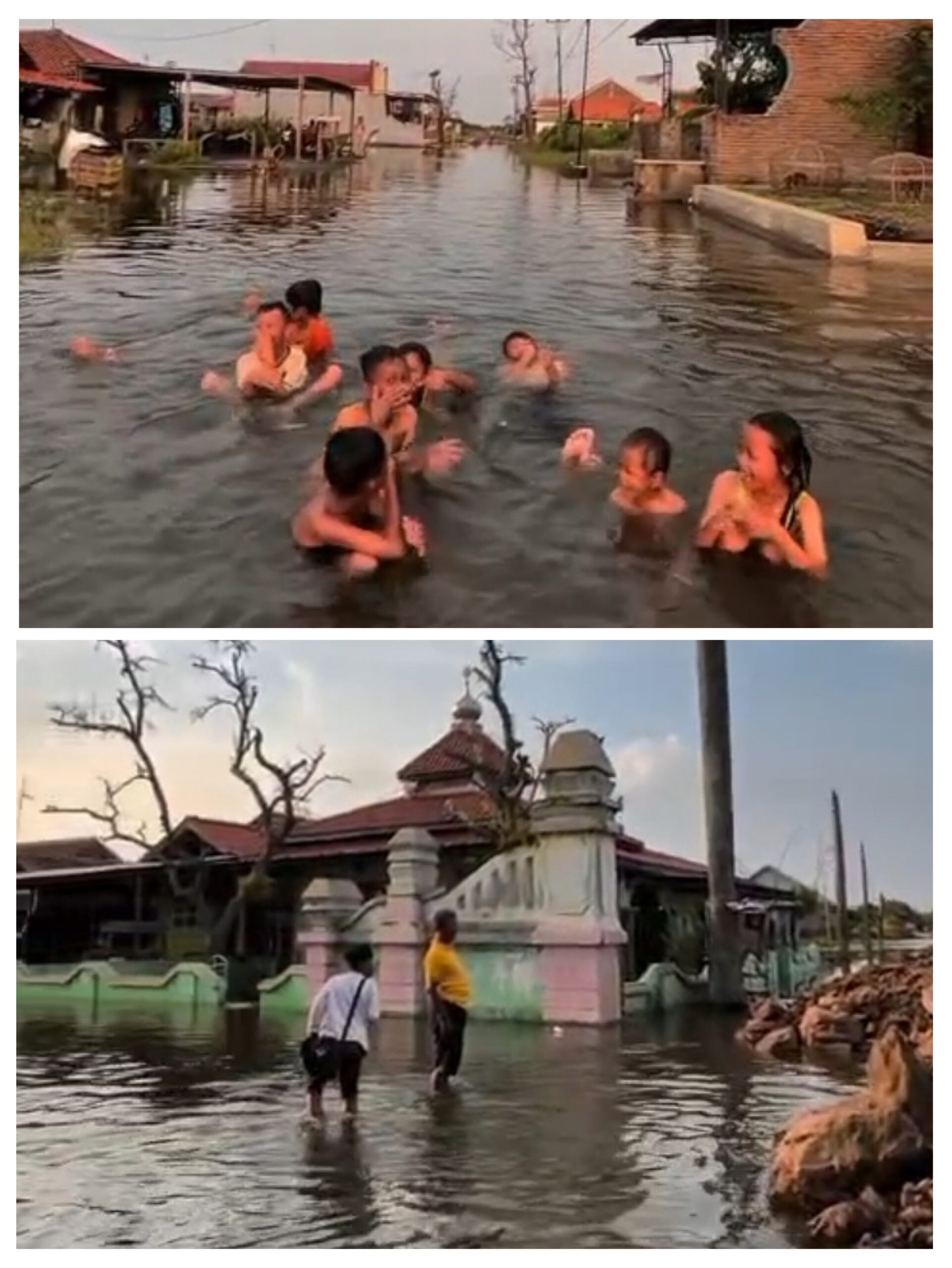 20260515_084738-COLLAGE