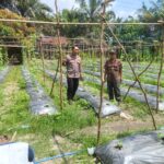 IMG-20260608-WA0156